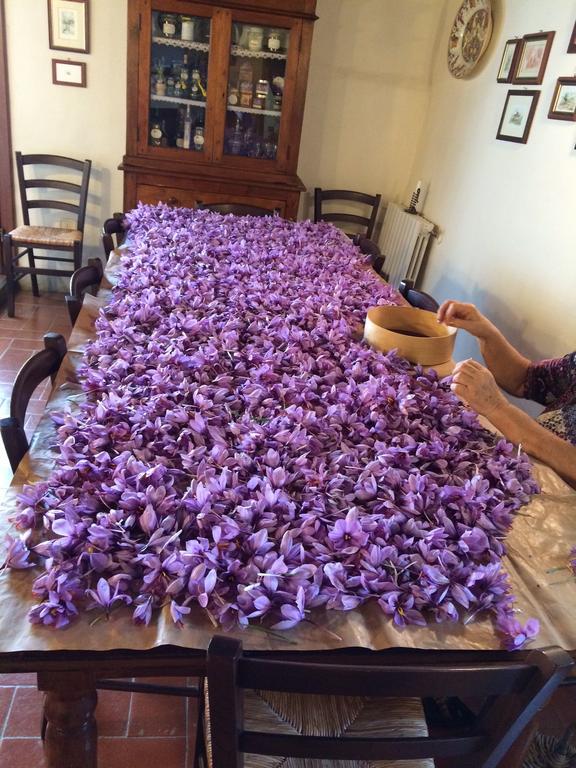 מלון פייזולה Agriturismo Poggio Al Sole מראה חיצוני תמונה